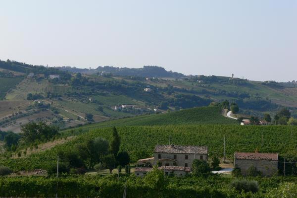 Bed and Breakfast Cascinale La Mimosa Cupramontana Exterior foto