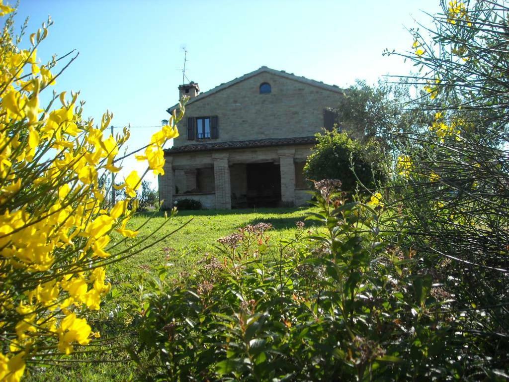 Bed and Breakfast Cascinale La Mimosa Cupramontana Exterior foto
